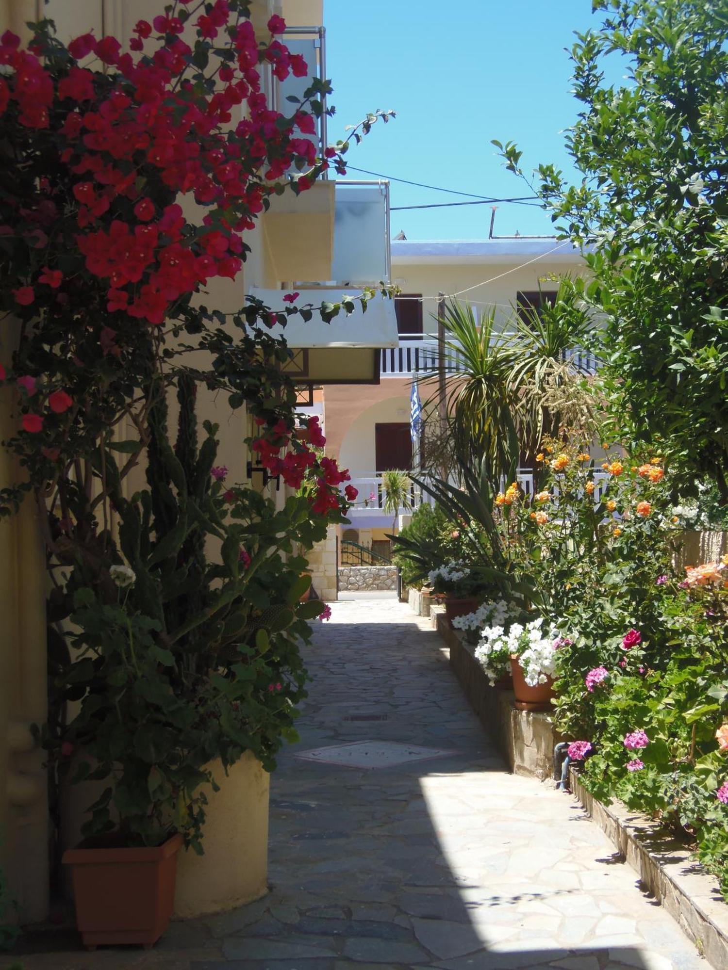 Angelica Studios and Apartments Agia Marina Exterior foto