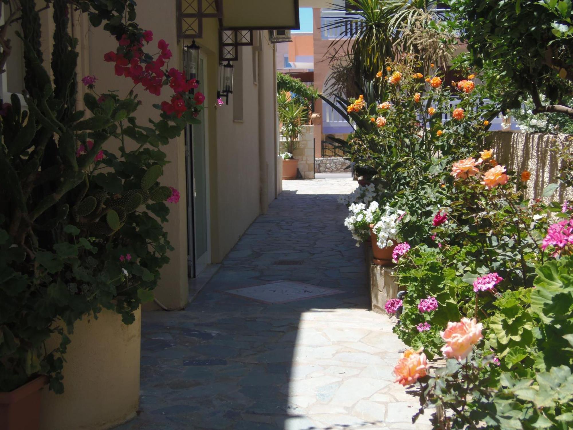 Angelica Studios and Apartments Agia Marina Exterior foto